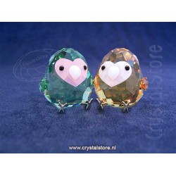 All you Need are Birds Love Bird Couple