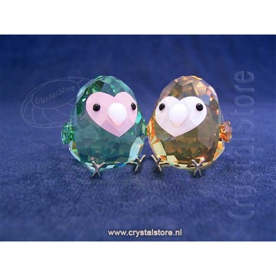 All you Need are Birds Love Bird Couple
