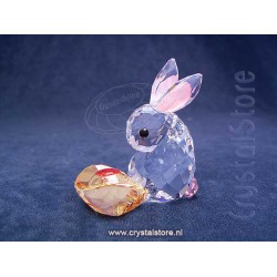Asian Symbols Rabbit
