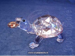 Tortoise