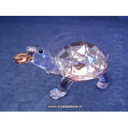Tortoise