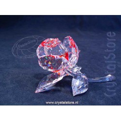 Blossom Rose - Red