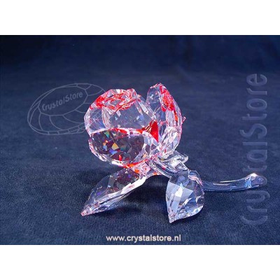 Blossom Rose - Red