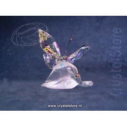 Sparkling Butterfly 