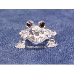 Baby Frog 