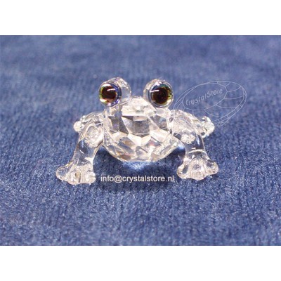 Baby Frog 