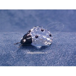 Ladybird 