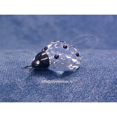 Ladybird 
