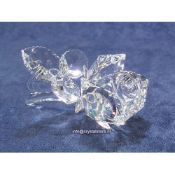 Rose Clear