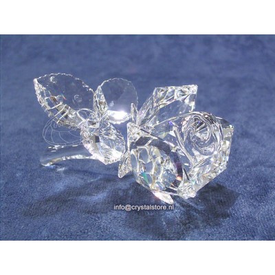 Rose Clear