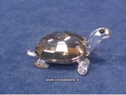 Schildpad Golden Teak