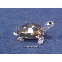 Tortoise Golden Teak