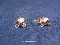Schildpad babys Golden Shadow (set van 2)