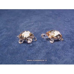 Baby Tortoises Golden Shadow (Set of 2)