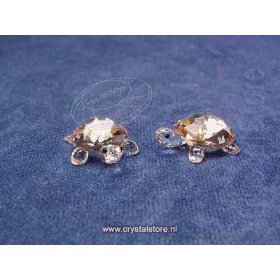 Baby Tortoises Golden Shadow (Set of 2)