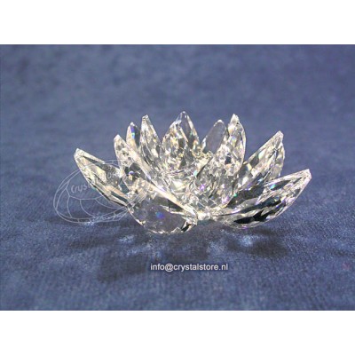 Waterlily Small