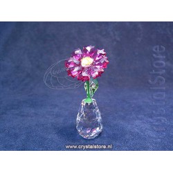 Flower Dreams - Gerbera