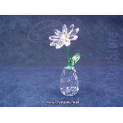 Flower Dreams - Daisy