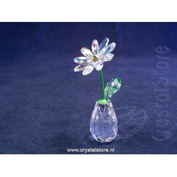 Flower Dreams - Daisy AB