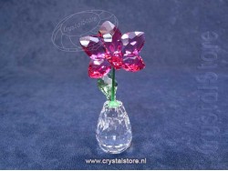 Bloemendromen - Orchidee
