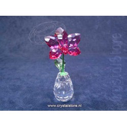 Flower Dreams - Orchid