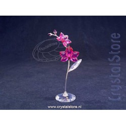 Flower Dreams Large Orchid