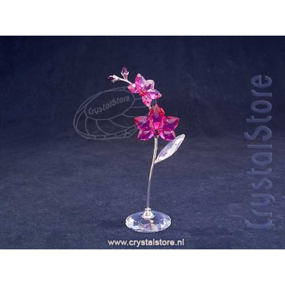 Flower Dreams Large Orchid