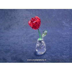 Flower Dreams - Red Rose