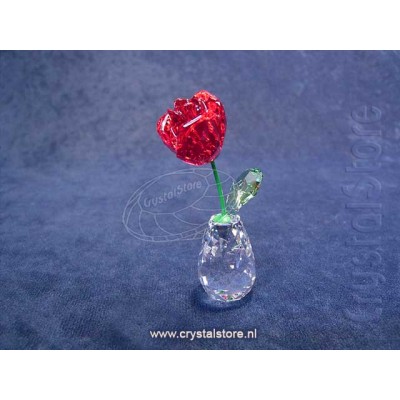 Flower Dreams - Red Rose