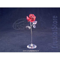 Flower Dreams Large Red Rose