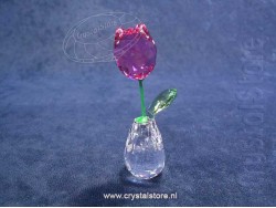 Bloemendromen - Roze Tulp