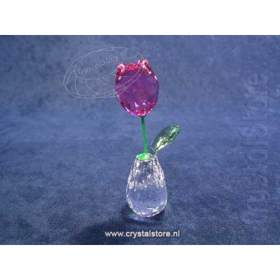 Flower Dreams - Pink Tulip