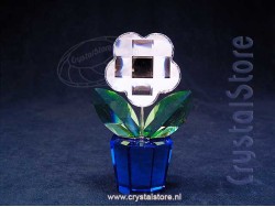 Flower Clear Medium