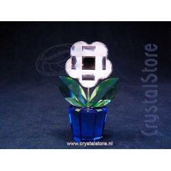 Flower Clear Medium