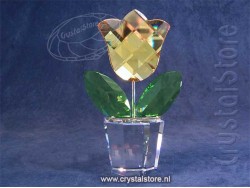 Gele Tulp Groot