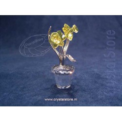 Narcissus - Rhodium