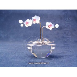 Orchid Rhodium (no sticker)