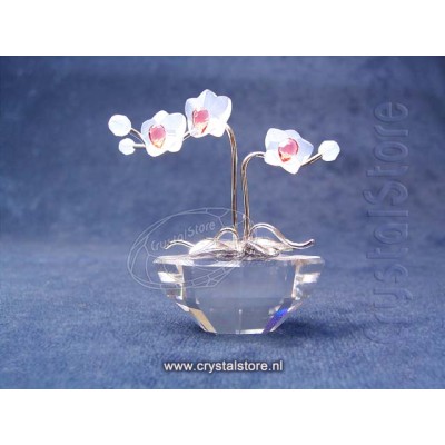 Orchid Rhodium (no sticker)