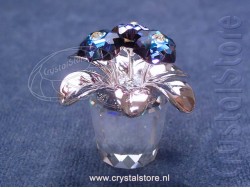 Primula Rhodium Blauw
