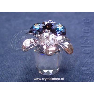 Primula Rhodium Blue