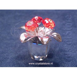 Primula Rhodium Red