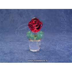 Red Rose 
