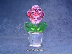 Rose Pink -Medium