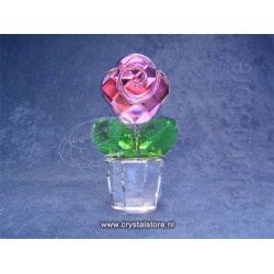 Rose Pink -Medium