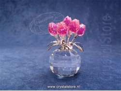 Rose tulpen 
