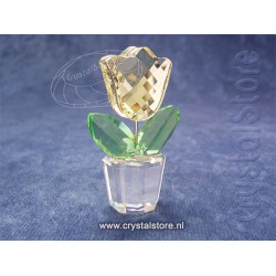 Tulip Yellow