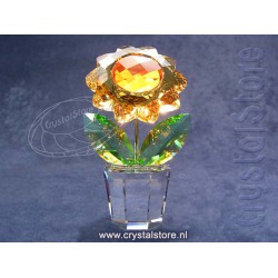  Sunflower Medium 