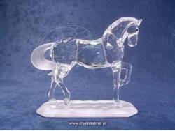 Arabian Stallion