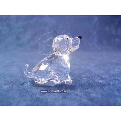 Zodiac Hond