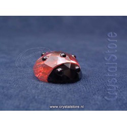 Lucky Lady Bird